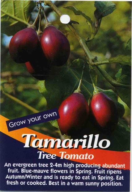 Tamarillo-Tree-Tomato - Tamarillo roșu