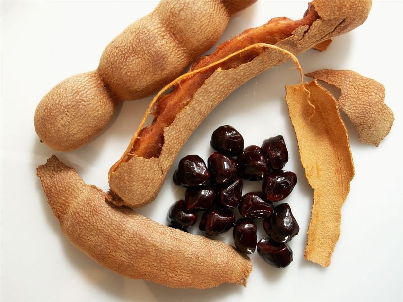 Tamarind - Tamarind