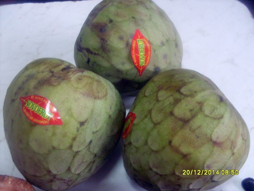  - Cherimoya