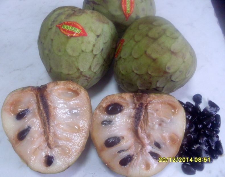  - Cherimoya