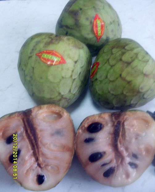  - Cherimoya