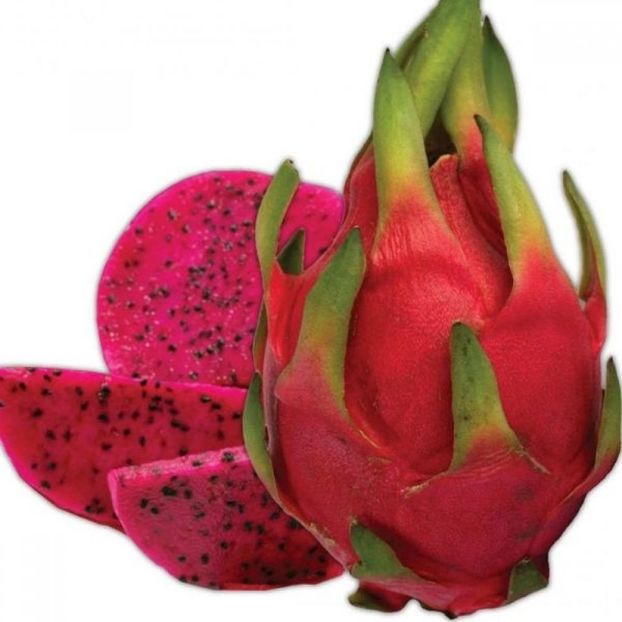 pitaya_11829 - Dragon fruit