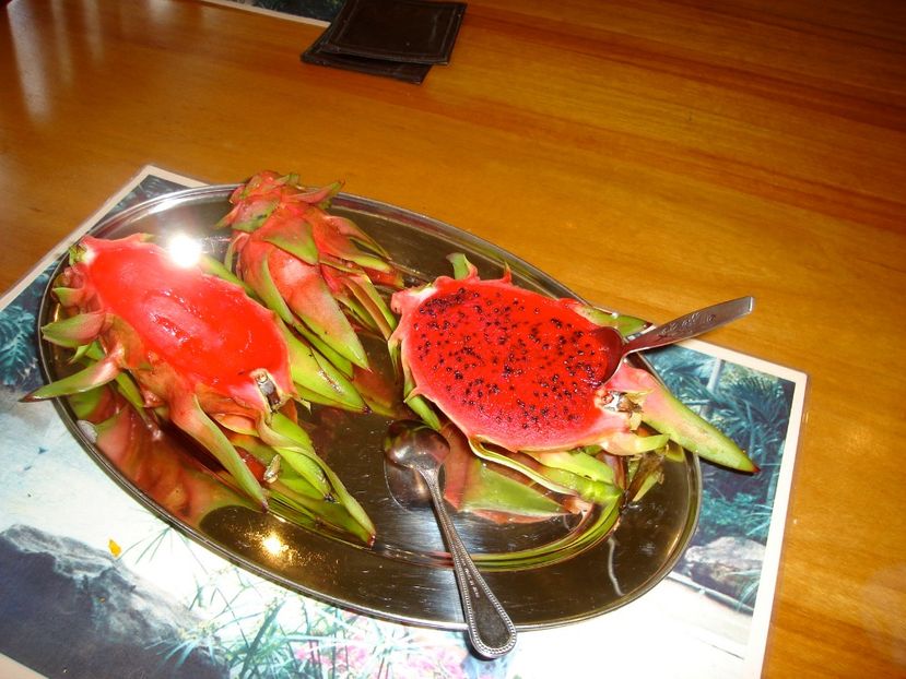 pitaya-red-dragon-fruit-2643 - Dragon fruit