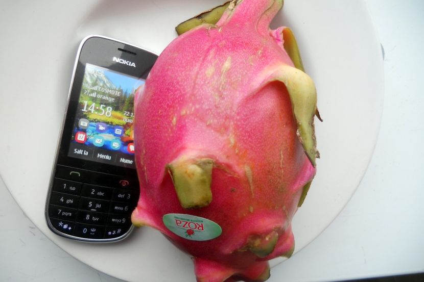  - Dragon fruit