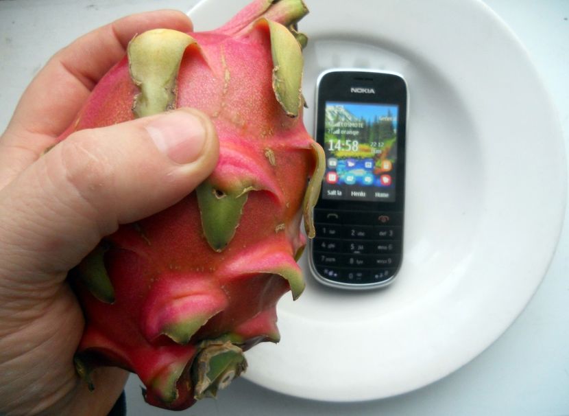  - Dragon fruit