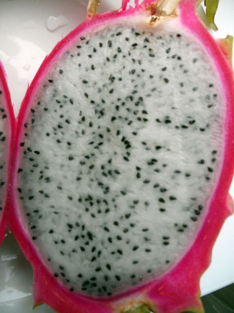  - Dragon fruit