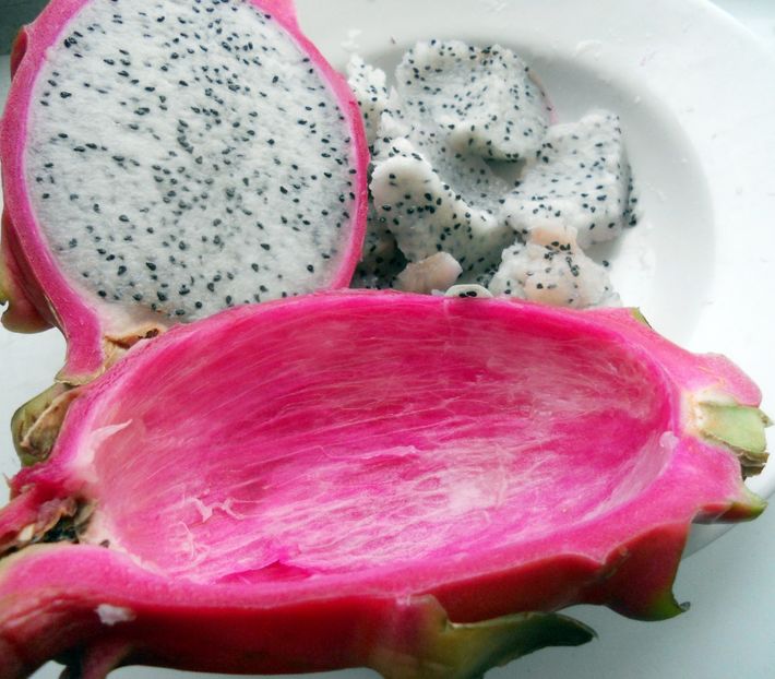  - Dragon fruit