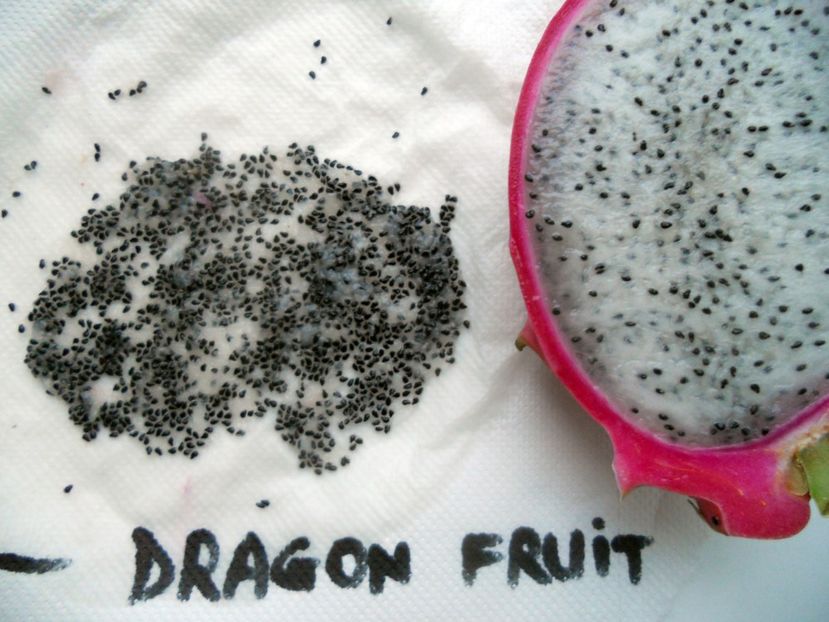  - Dragon fruit