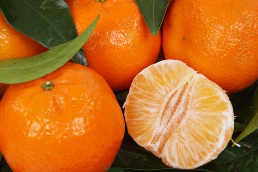 clementine 1 - Clementin