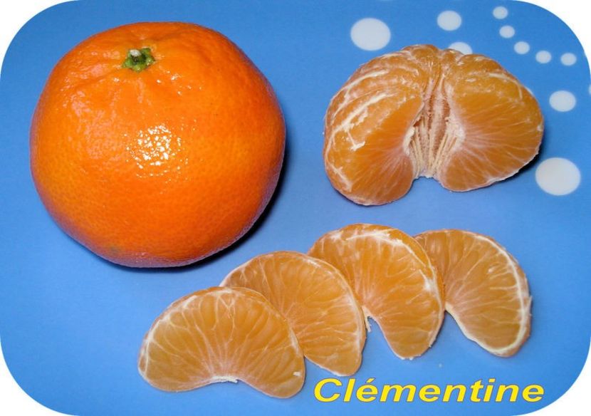 Clementine_DC_t.800 - Clementin