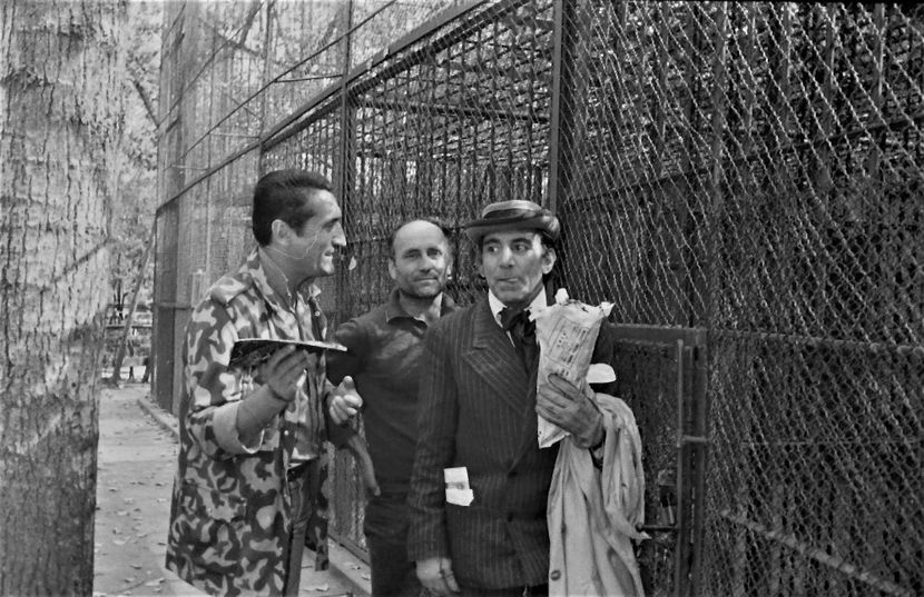 Duelul - Duelul 1981