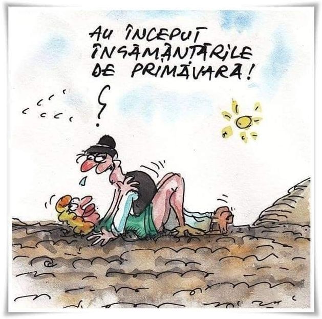  - Divertisment 3
