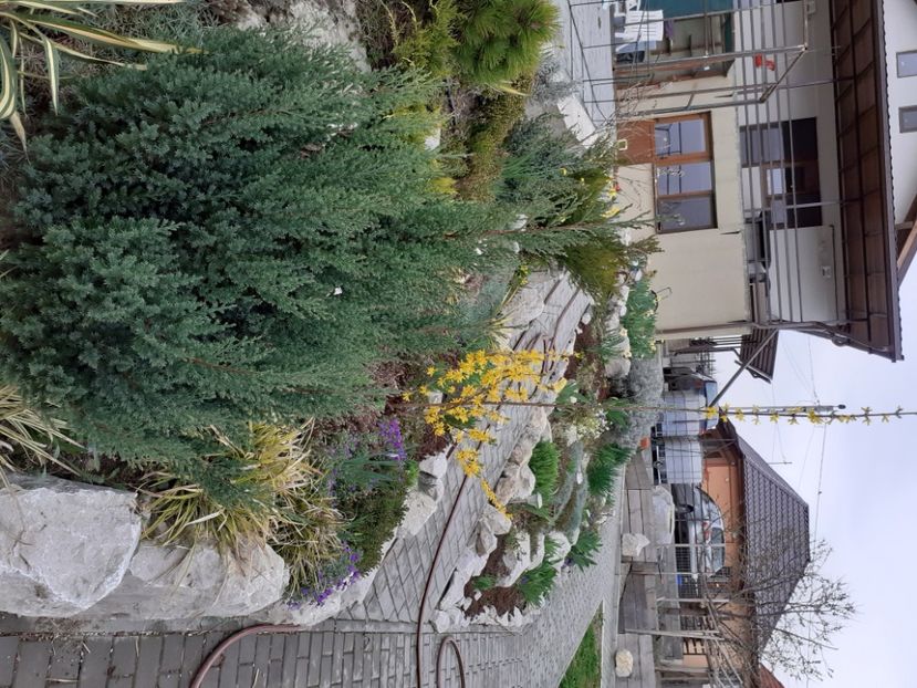  - Gradina 2021