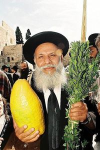 A_YEMINITE_ETROG - Etrog