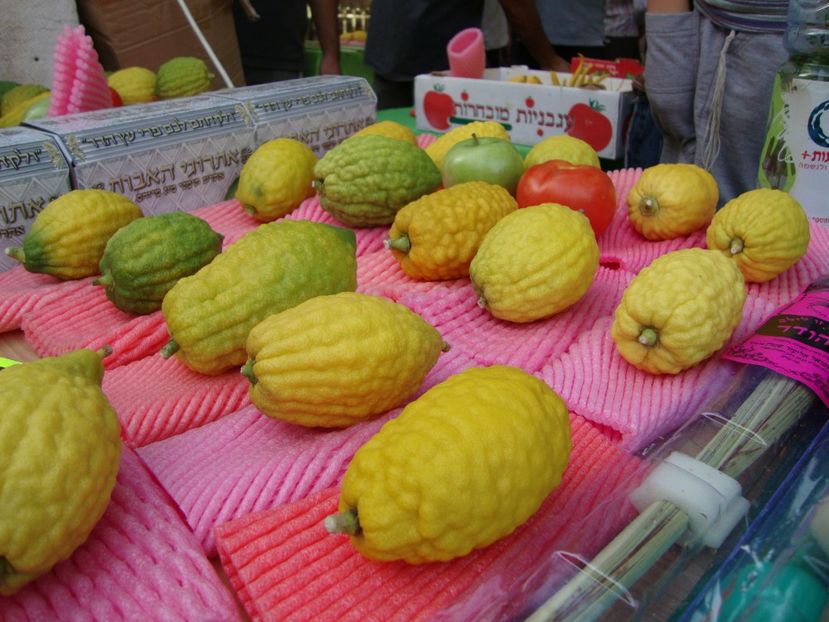 dsc07396 - Etrog
