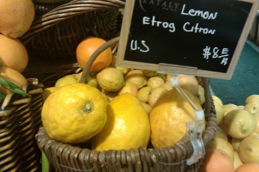 organic-etrog - Etrog