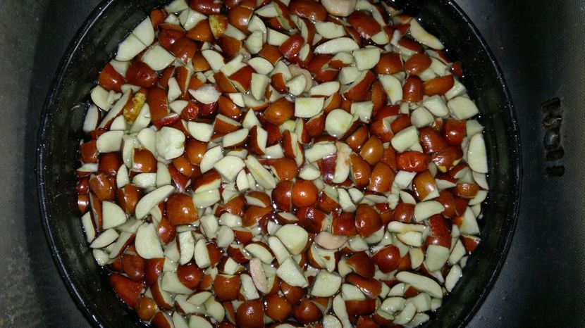 2015-10-10-106 - Jujube