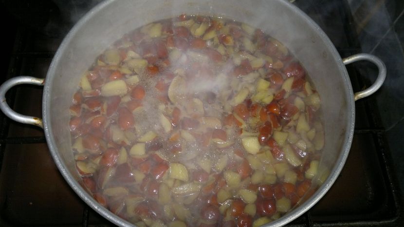 2015-10-10-111 - Jujube