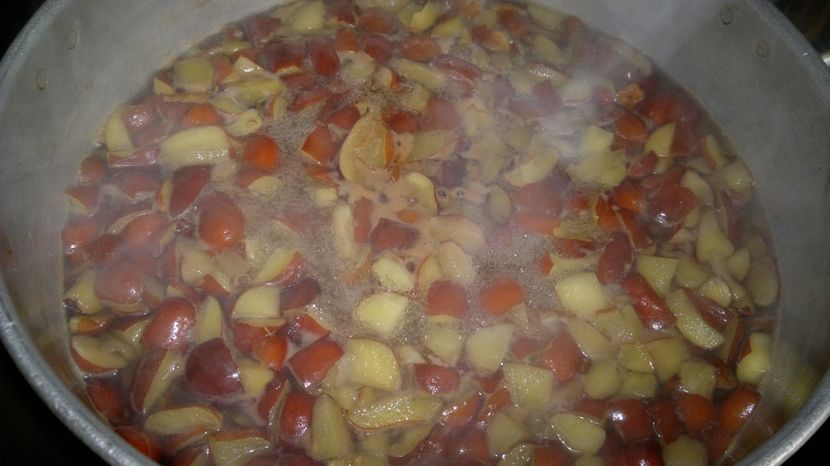 2015-10-10-112 - Jujube