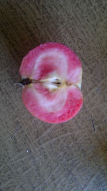 2015-09-22-029 - Măr Red Love Circe