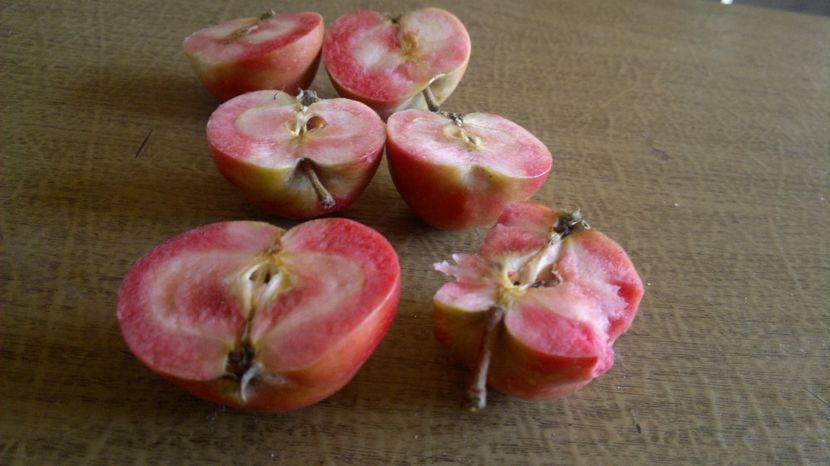 2015-09-22-031 - Măr Red Love Circe