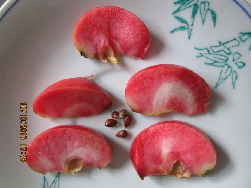  - Măr Red Love Circe