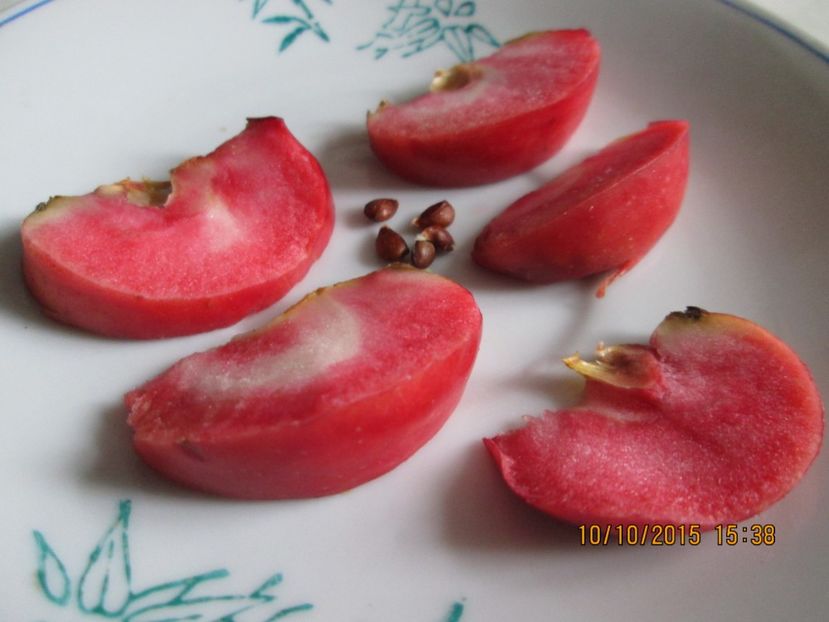  - Măr Red Love Circe