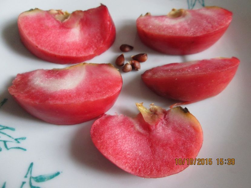  - Măr Red Love Circe