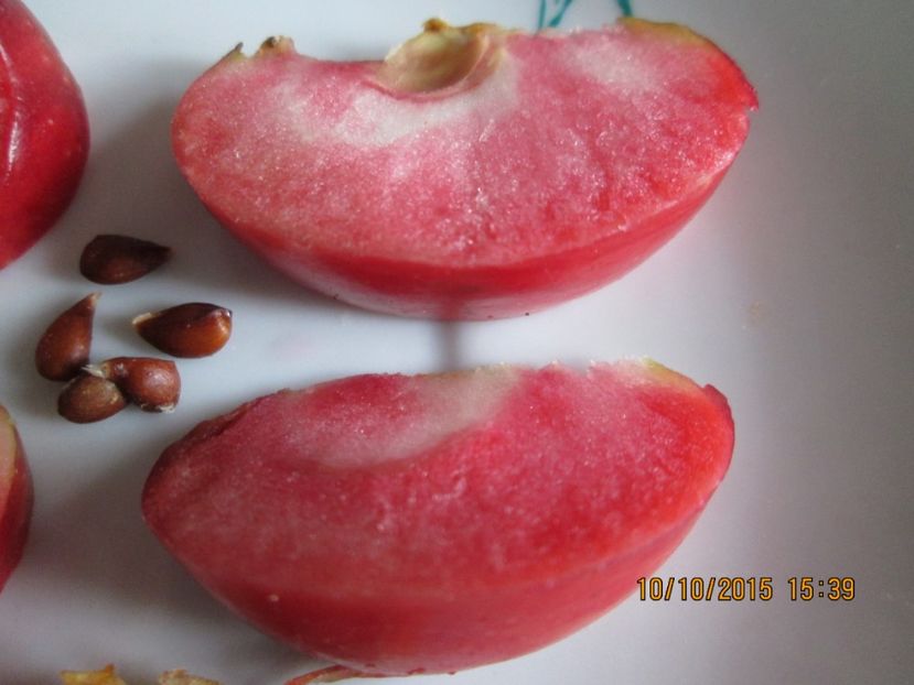  - Măr Red Love Circe