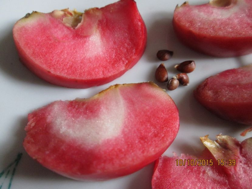  - Măr Red Love Circe