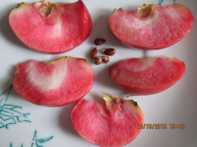  - Măr Red Love Circe