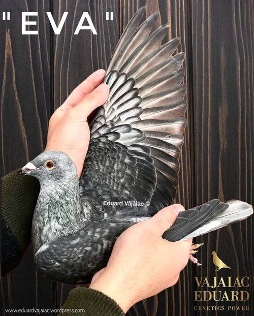  - NU IMI APARTIN ALBUM NR 2