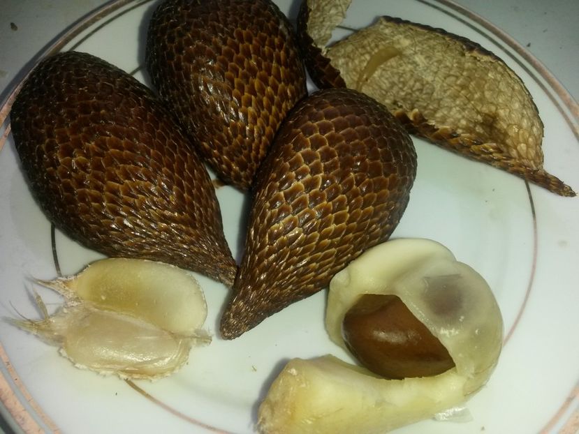  - Salak