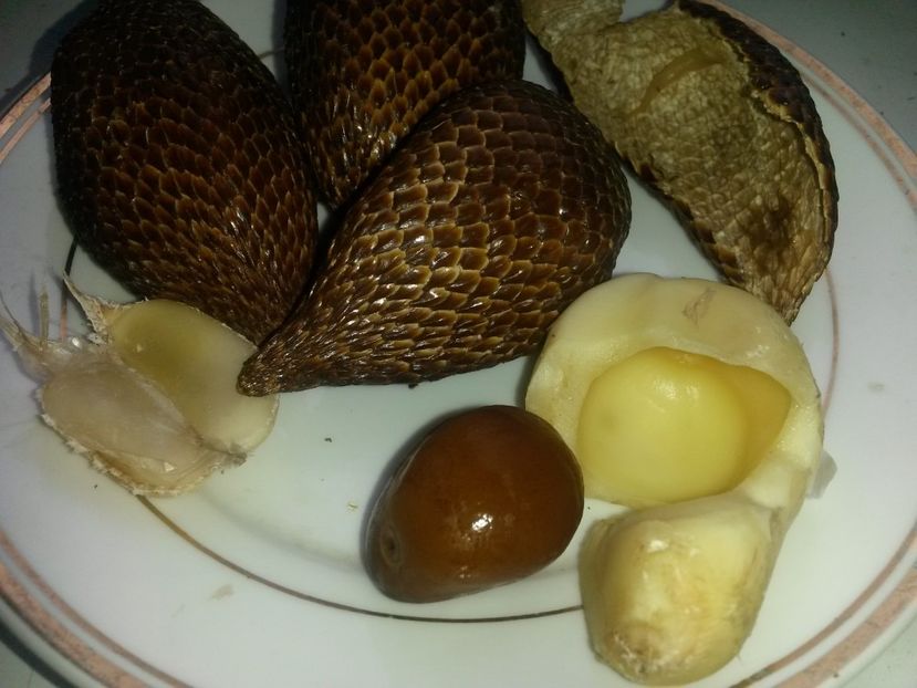  - Salak