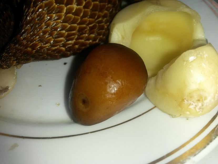  - Salak
