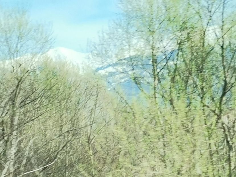  - Frumoșii Carpați 11aprie2021