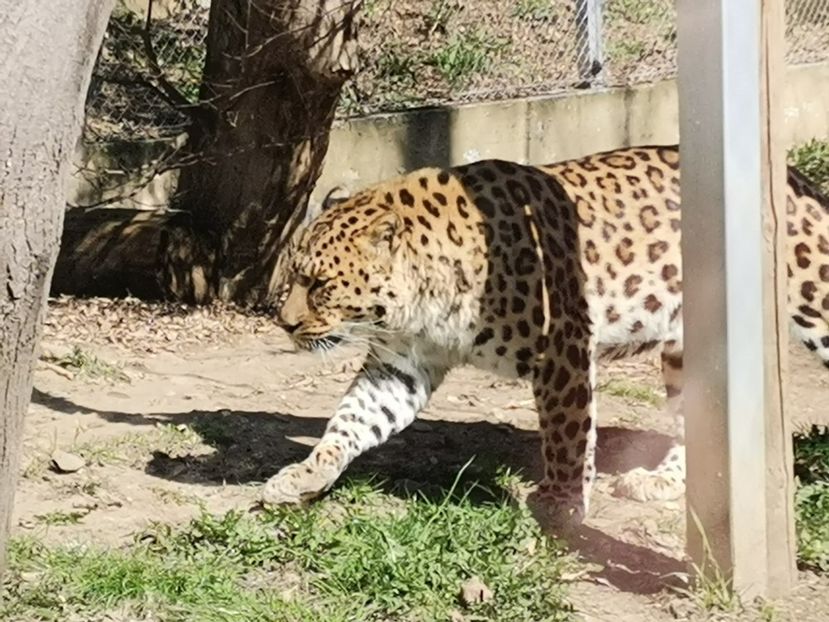  - Gradina Zoo Sibiu