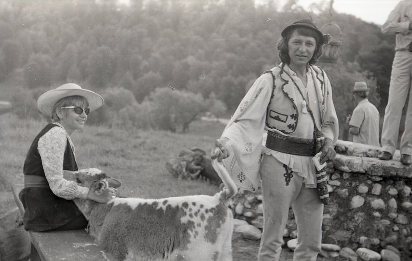 Pacala - Pacala 1974