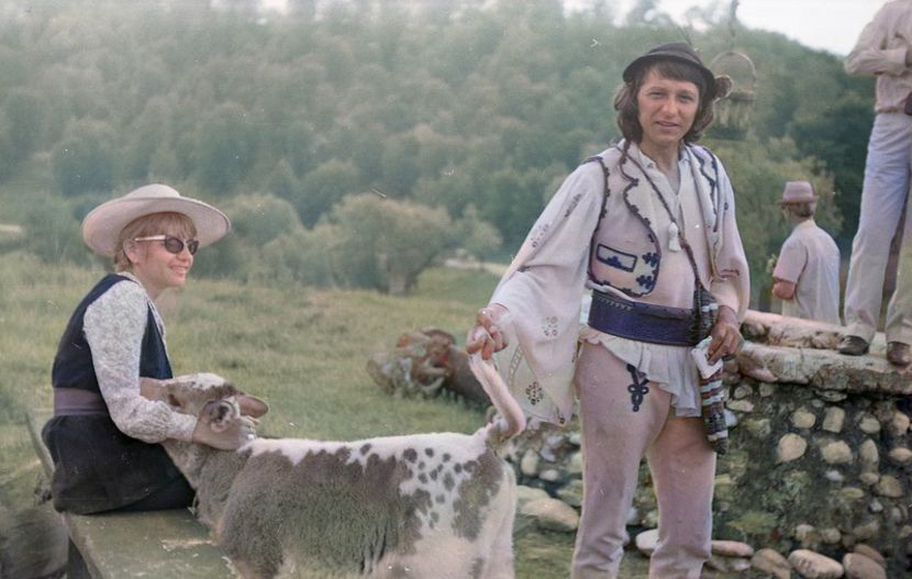 Pacala - Pacala 1974