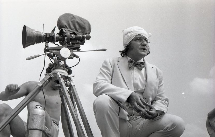 Pacala - Pacala 1974