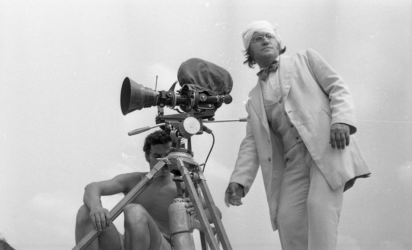 Pacala - Pacala 1974