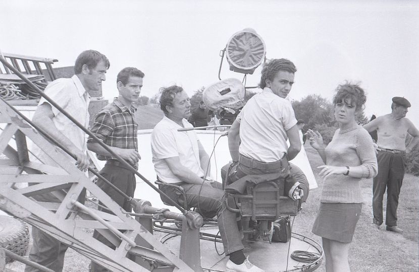 Pacala - Pacala 1974