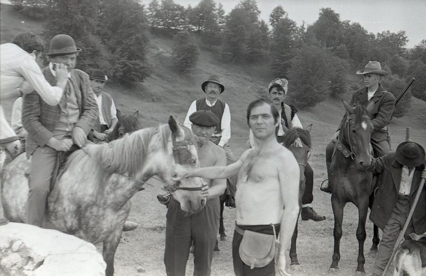 Pacala - Pacala 1974