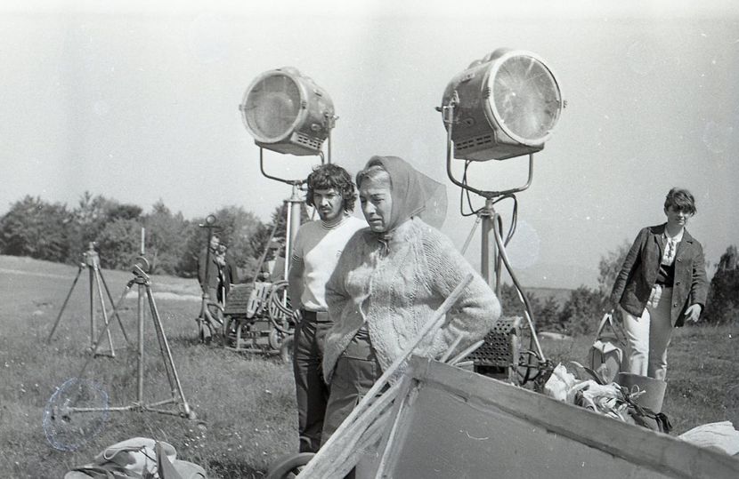 Pacala - Pacala 1974