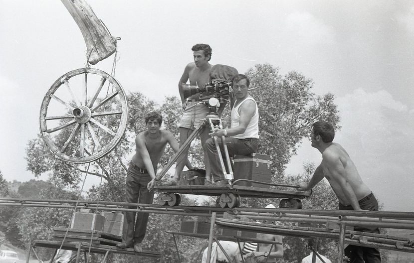 Pacala - Pacala 1974