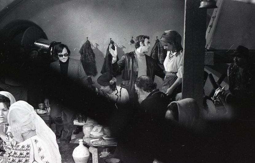 Pacala - Pacala 1974