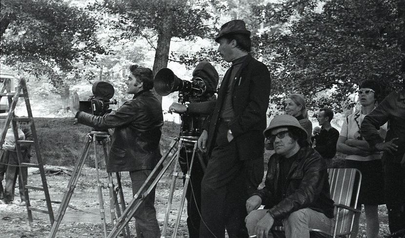 Pacala - Pacala 1974