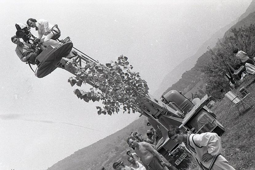 Pacala - Pacala 1974