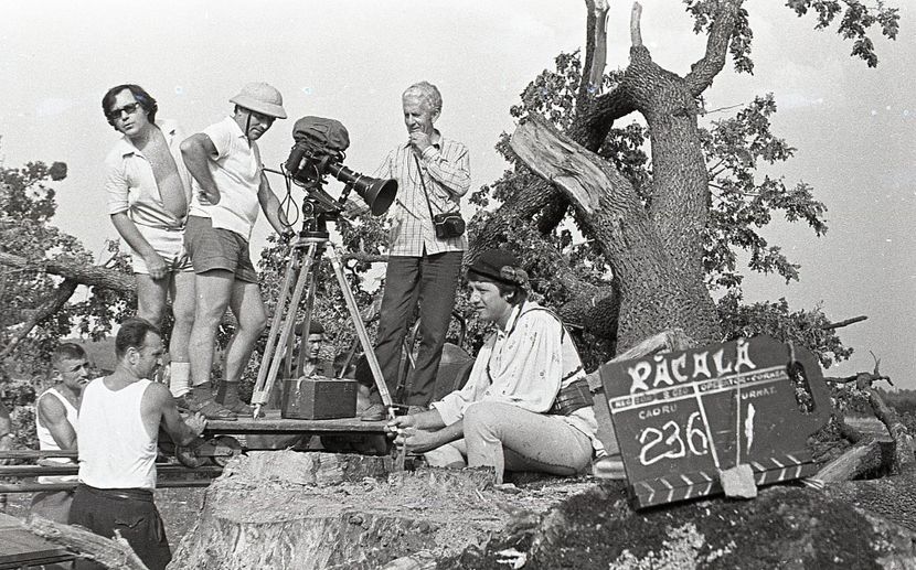 Pacala - Pacala 1974