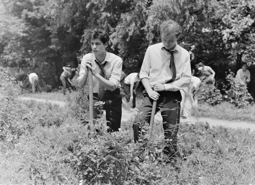 Liceenii - Liceenii 1986